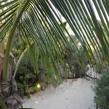 Eco Lodge Hotel Villa ตูลุม ภายนอก รูปภาพ