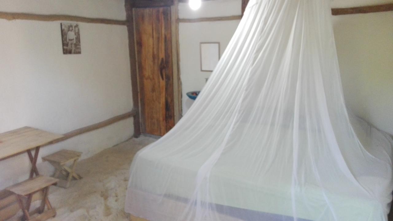 Eco Lodge Hotel Villa ตูลุม ภายนอก รูปภาพ