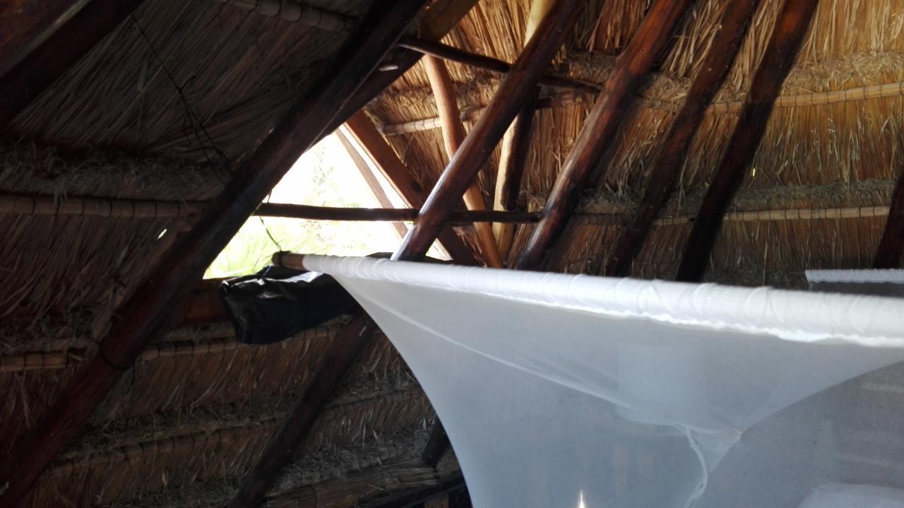 Eco Lodge Hotel Villa ตูลุม ภายนอก รูปภาพ